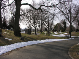 Mt. Olivet Cemetery. Maspeth, Queens.