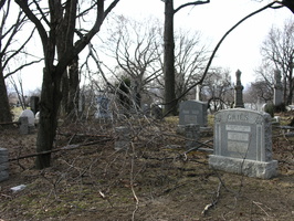 Mt. Olivet Cemetery. Maspeth, Queens.