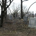 Mt. Olivet Cemetery. Maspeth, Queens.
