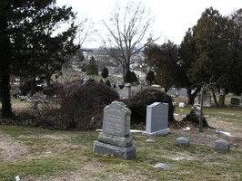 Mt. Olivet Cemetery. Maspeth, Queens.