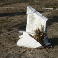 Mt. Olivet Cemetery. Maspeth, Queens.