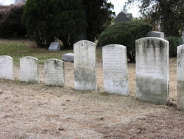 Mt. Olivet Cemetery. Maspeth, Queens.