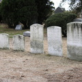 Mt. Olivet Cemetery. Maspeth, Queens.