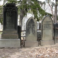 Mt. Olivet Cemetery. Maspeth, Queens.