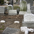 Mt. Olivet Cemetery. Maspeth, Queens.