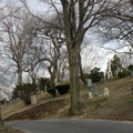Mt. Olivet Cemetery. Maspeth, Queens.