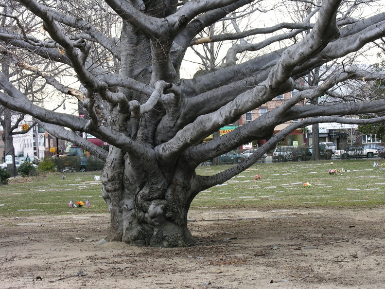 DSCN4001.JPG