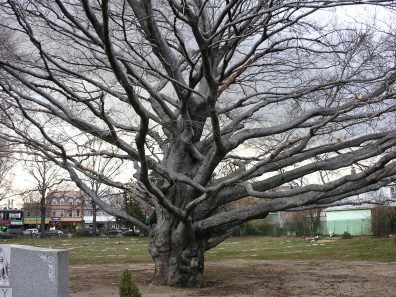 DSCN4009.JPG