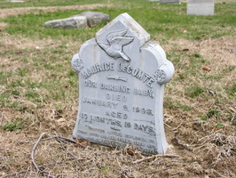 Mt. Olivet Cemetery. Maspeth, Queens.