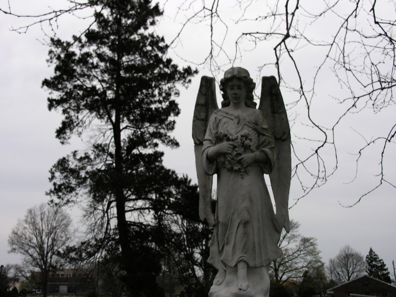 DSCN4275.JPG