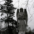 Mt. Olivet Cemetery. Maspeth, Queens.