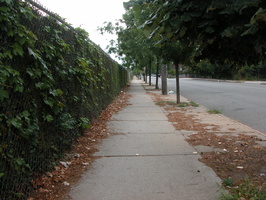 Outside Mt. Zion Cemetery, Maspeth