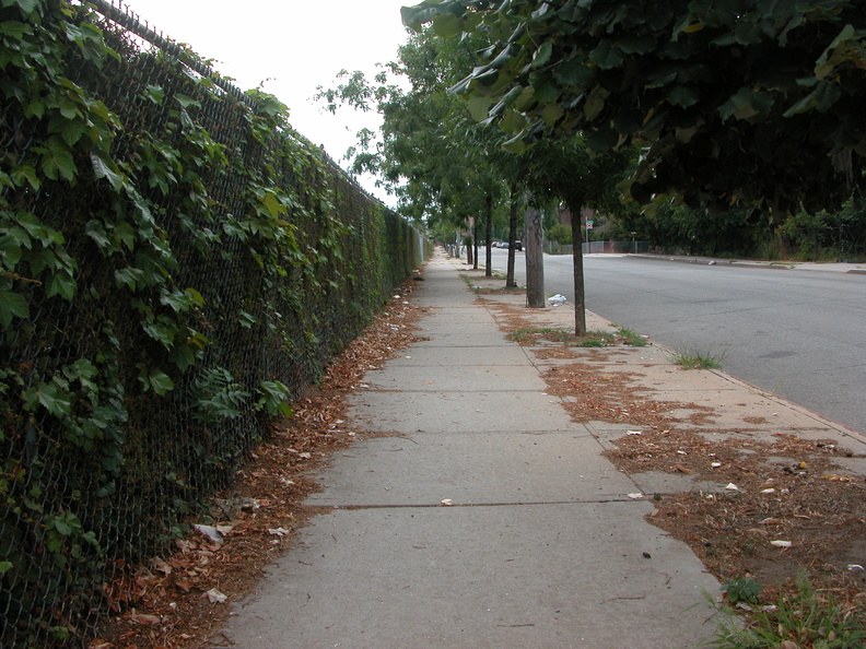 DSCN3234.JPG