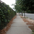 Outside Mt. Zion Cemetery, Maspeth