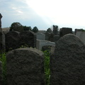 Mt. Zion Cemetery, Maspeth