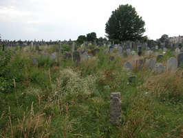 Mt. Zion Cemetery, Maspeth