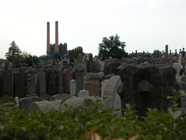 Mt. Zion Cemetery, Maspeth
