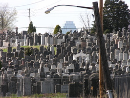 Mt. Zion Cemetery, Maspeth