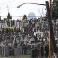 Mt. Zion Cemetery, Maspeth