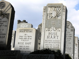 Mt. Zion Cemetery, Maspeth