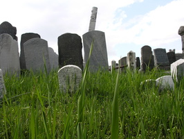 Mt. Zion Cemetery, Maspeth