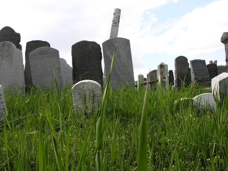 DSCN4390.JPG