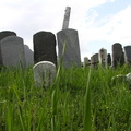 Mt. Zion Cemetery, Maspeth