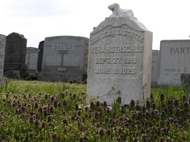 Mt. Zion Cemetery, Maspeth