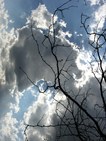 DSCN4399.JPG