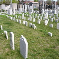 Mt. Zion Cemetery, Maspeth