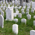 Mt. Zion Cemetery, Maspeth
