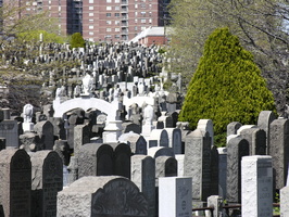 Mt. Zion Cemetery, Maspeth