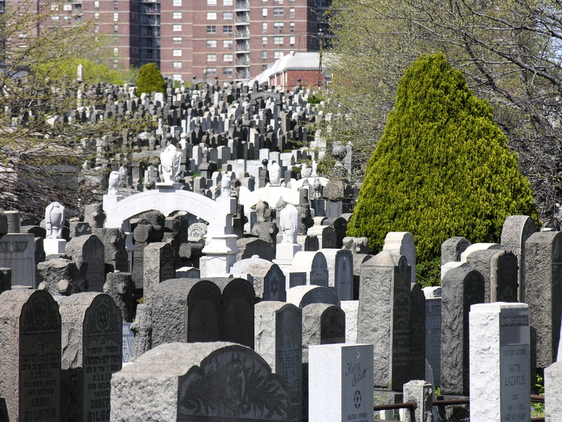 DSCN5073.JPG