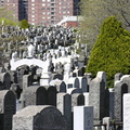 Mt. Zion Cemetery, Maspeth