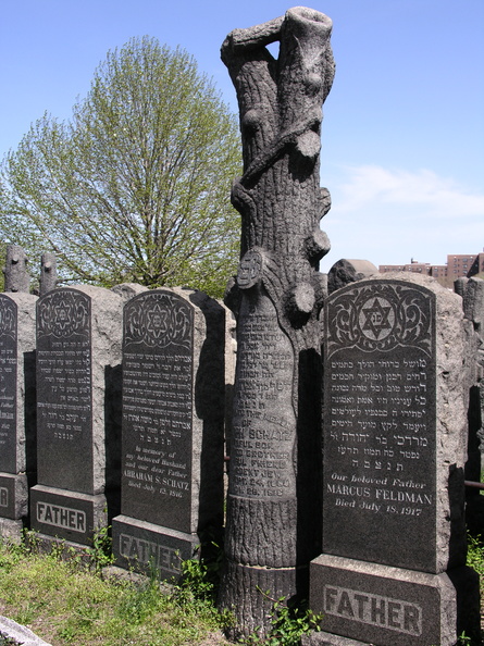DSCN5093.JPG
