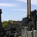 Mt. Zion Cemetery, Maspeth