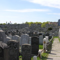 Mt. Zion Cemetery, Maspeth