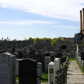 Mt. Zion Cemetery, Maspeth