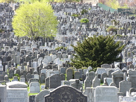 Mt. Zion Cemetery, Maspeth