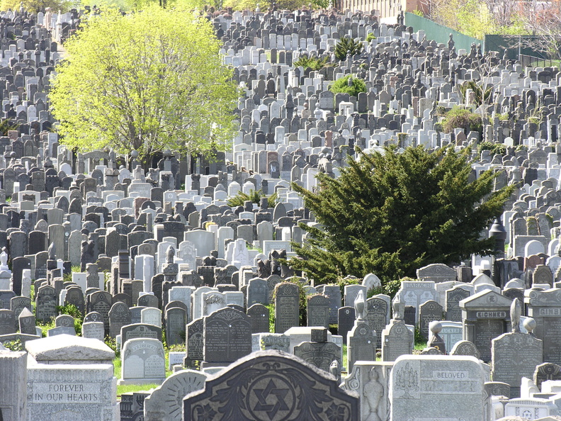 DSCN5115.JPG