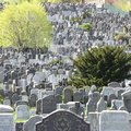 Mt. Zion Cemetery, Maspeth