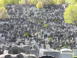 Mt. Zion Cemetery, Maspeth