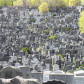 Mt. Zion Cemetery, Maspeth