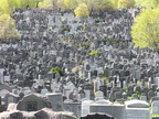 Mt. Zion, Maspeth