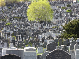 Mt. Zion Cemetery, Maspeth