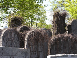 Mt. Zion Cemetery, Maspeth
