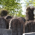 DSCN5157.JPG
