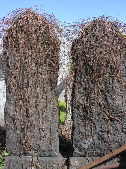 DSCN5162.JPG