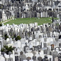Mt. Zion Cemetery, Maspeth