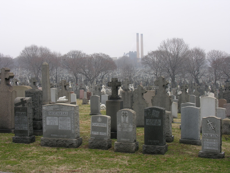 DSCN0494.JPG